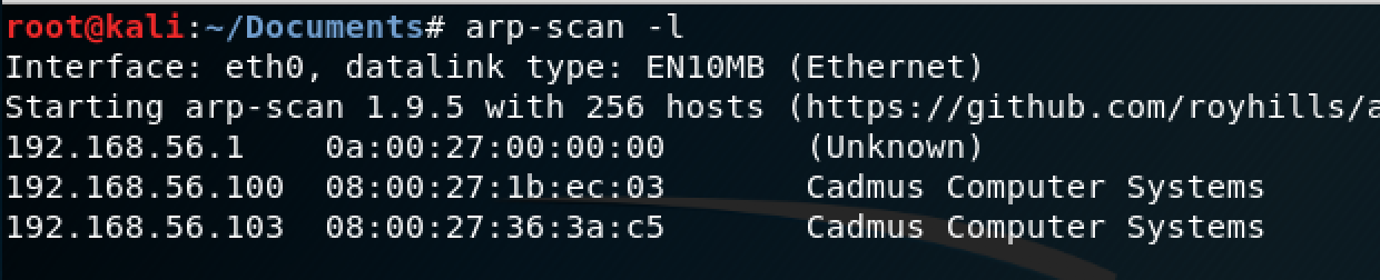 arp-scan